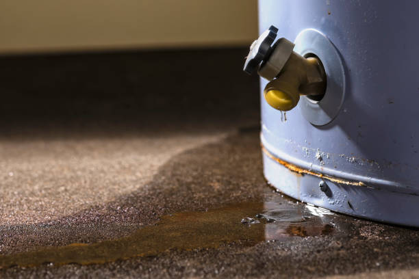 Best Emergency water extraction  in Buchanan, MI