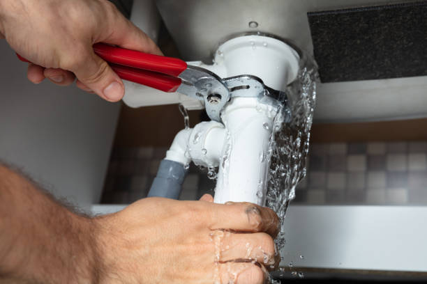 Best Water damage restoration insurance claims  in Buchanan, MI
