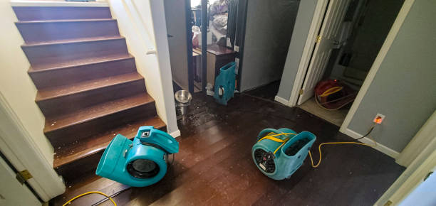 Best Water damage cleanup near me  in Buchanan, MI