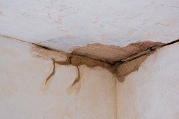 Best Water damage mitigation services  in Buchanan, MI