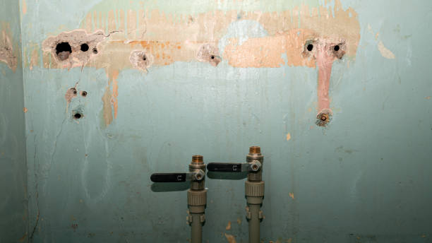 Best Emergency water damage restoration  in Buchanan, MI