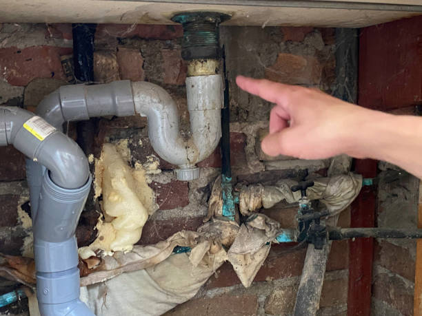 Best Local water damage restoration  in Buchanan, MI