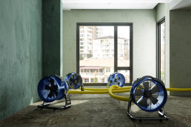 Best Local water damage restoration  in Buchanan, MI