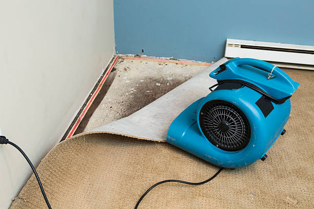 Best Commercial water damage restoration  in Buchanan, MI